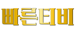 빠른티비