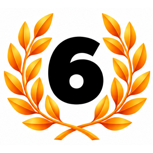 6위
